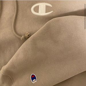 Reverse weave champion cropped hoodie